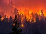 Wildfires cause havoc in the California wine region